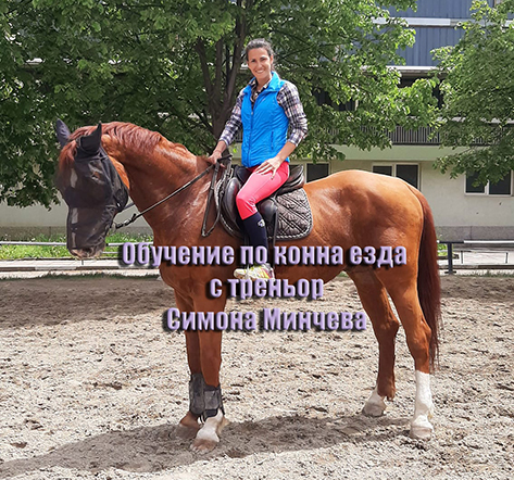 horseriding lessons sofia